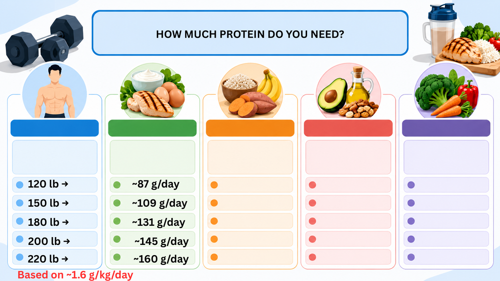 How much protein for beginners chart showing example daily targets based on about 1.6 grams per kilogram